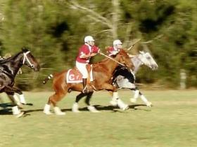 Sladevale QLD C Tourism