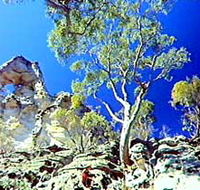 Mount Moffatt Section - Carnarvon National Park - C Tourism