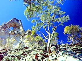 Mount Moffatt Section - Carnarvon National Park - C Tourism 0