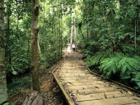 Malanda QLD C Tourism