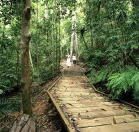 Lake Barrine Circuit Track Crater Lakes National Park - C Tourism