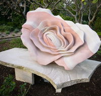 Brisbane Botanic Gardens Mount Coot-tha - C Tourism