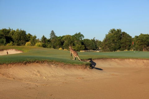 Pelican Waters Golf Club - C Tourism 6