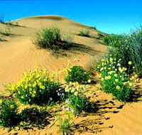 Simpson Desert National Park - C Tourism