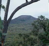 Mount Fox - C Tourism