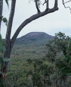 Mount Fox - C Tourism 0