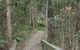 Springwood Conservation Park - thumb 0