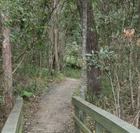 Springwood Conservation Park - C Tourism