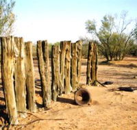 Cameron Corner Loop - C Tourism