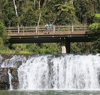 Malanda Falls Conservation Park - C Tourism