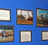 Town Hall Photographic Display - C Tourism