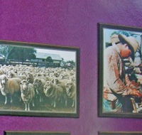 Charleville Photographic Display - C Tourism