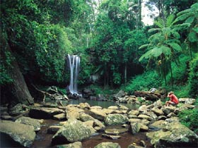 Tamborine National Park - C Tourism 0