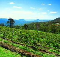 Preston Peak Wines - C Tourism