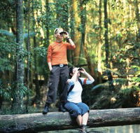 Birdwatching on the Fraser Coast - C Tourism