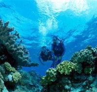 Coral Gardens Dive Site - C Tourism