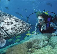 Pelorus Island - C Tourism