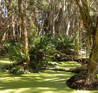 Arkarra Lagoons and Tea Gardens - C Tourism