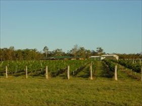 Kingsley Grove Estate - C Tourism 0