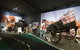 Transport And Main Roads Heritage Centre - thumb 0