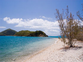 Shute Harbour QLD C Tourism