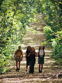 Wet Tropics Great Walk - C Tourism 0