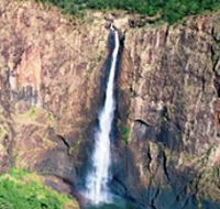 Buujan Quiinbiira Walk Wet Tropics Great Walk - C Tourism