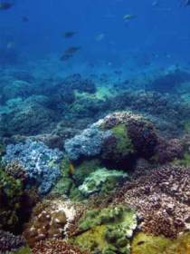 Bargara QLD C Tourism