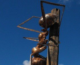 Augathella Meat Ant Park And Sculpture - C Tourism 0