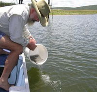 Eungella Dam - C Tourism