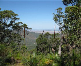 Zamia Walk - C Tourism 0