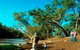 Charleville - Dillalah Warrego River Fishing Spot - thumb 0