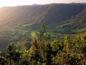 Pine Grove Circuit - C Tourism 0