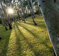 Tondoon Botanic Gardens - C Tourism