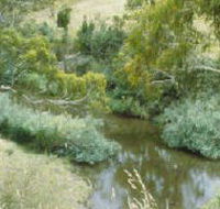 Yarrambat Park - C Tourism