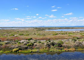 Point Cook Coastal Park - C Tourism 0