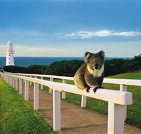 Cape Otway Lightstation - C Tourism
