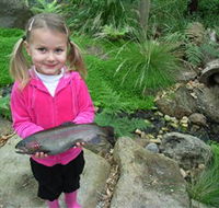 Wild Food Farm  Cafe - C Tourism