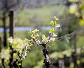 Balnarring VIC C Tourism