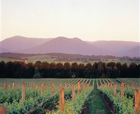 Coldstream VIC C Tourism