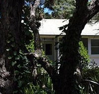 Melaleuca Gallery - C Tourism