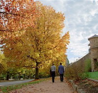 Indigo Gold Trail - C Tourism