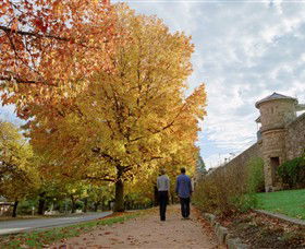 Indigo Gold Trail - C Tourism 0