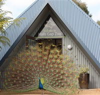 Halls Gap Zoo - C Tourism