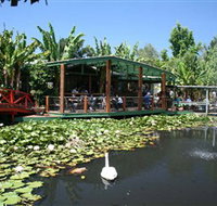 Blue Lotus Water Garden - C Tourism
