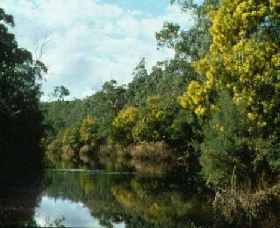 North Warrandyte VIC C Tourism
