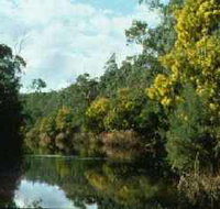 Warrandyte State Park - C Tourism