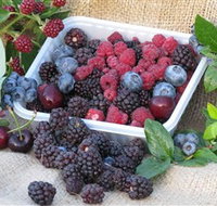 Bright Berry Farms - C Tourism