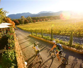 Boyntons Feathertop Winery - C Tourism 0