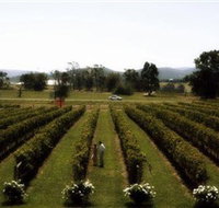Rochford Wines - C Tourism